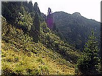 alpen2006nr015.jpg