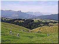 alpen2006nr070.jpg