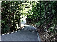 alpen2006nr096.jpg