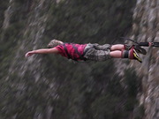 bungee216m.jpg