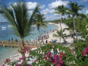 domrep2008.jpg