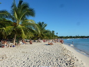 domrep2014.jpg
