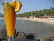 goa2009.jpg