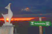 hocheck2013.jpg