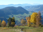 lajen2015.jpg