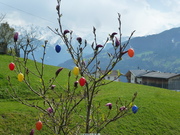 zillertal2014.jpg