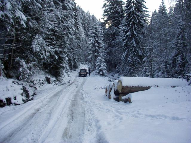 brechhornhaus2003ww06.jpg