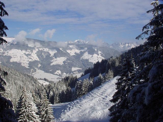 brechhornhaus2003ww10.jpg