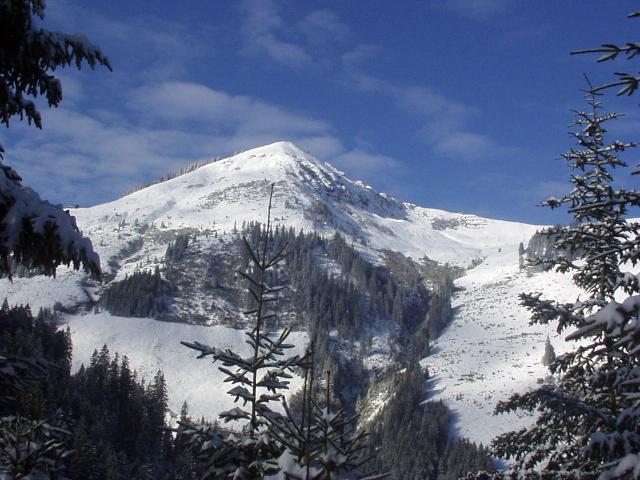 brechhornhaus2003ww12.jpg