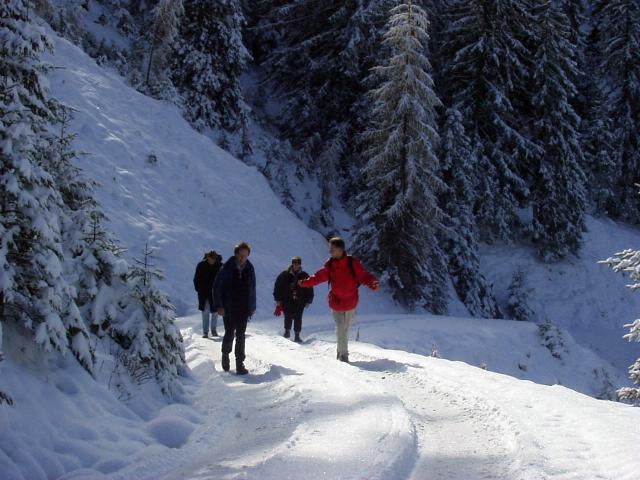 brechhornhaus2003ww13.jpg