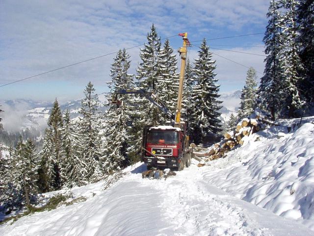 brechhornhaus2003ww15.jpg