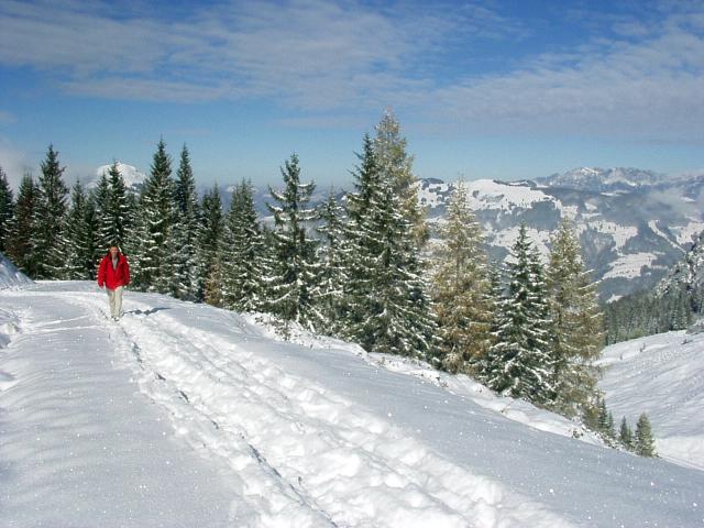 brechhornhaus2003ww18.jpg