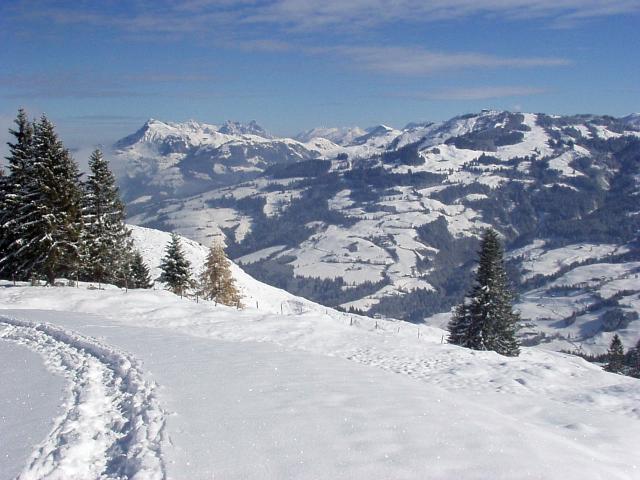 brechhornhaus2003ww20.jpg