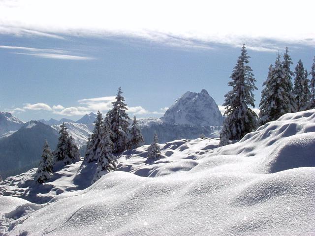 brechhornhaus2003ww22.jpg