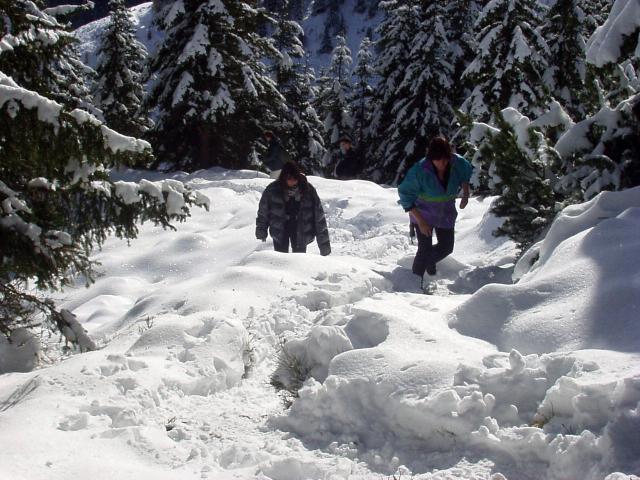 brechhornhaus2003ww58.jpg