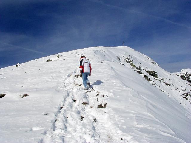 brechhornhaus2003ww70.jpg
