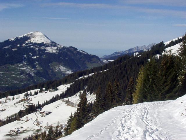 brechhornhaus2003ww83.jpg