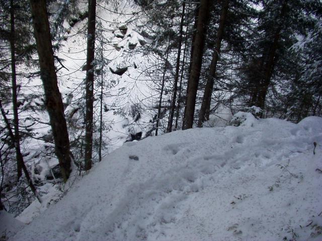brechhornhaus2003ww84.jpg