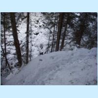 brechhornhaus2003ww84.jpg