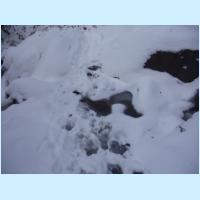 brechhornhaus2003ww86.jpg