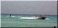 calafiguera1986p30z.jpg