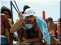 calafiguera1986q10a.jpg