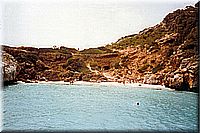 calafiguera1986q11.jpg