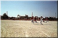 calafiguera1986q14.jpg