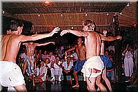 calafiguera1986q18.jpg