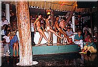 calafiguera1986q21.jpg