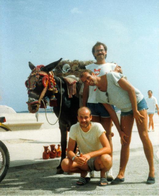 calafiguera1986p31b.jpg