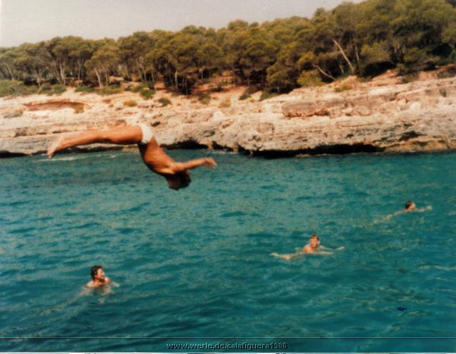 calafiguera1986q04a.jpg