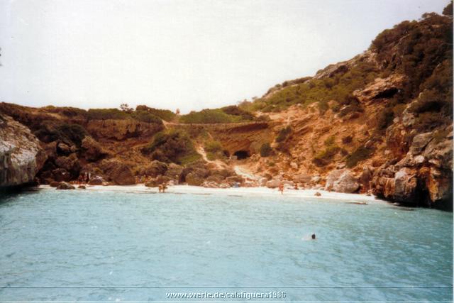 calafiguera1986q11.jpg