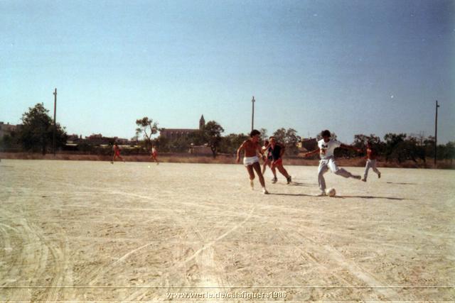 calafiguera1986q14.jpg
