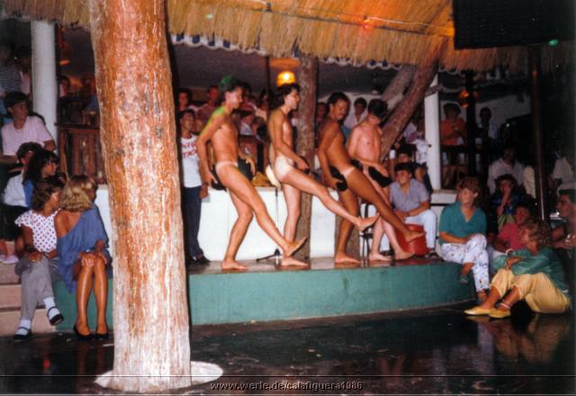 calafiguera1986q21.jpg