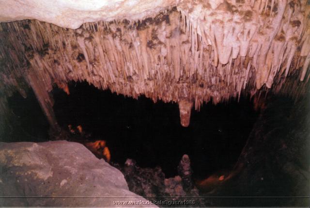 calafiguera1986q25.jpg