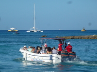 Zum Vergrößern von domrep2014ww238.jpg auf das Bild klicken