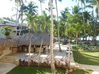 Click to enlarge domrep2014ww303.jpg