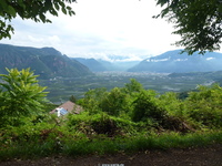 Click to enlarge eppan2014ww47.jpg