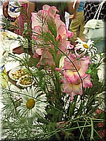 france2007walter188.jpg