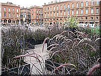 france2007walter246.jpg