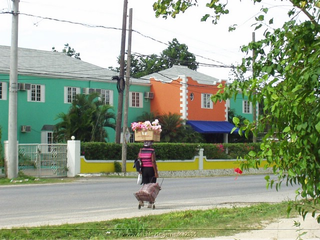 jamaika2005i13nr069.jpg