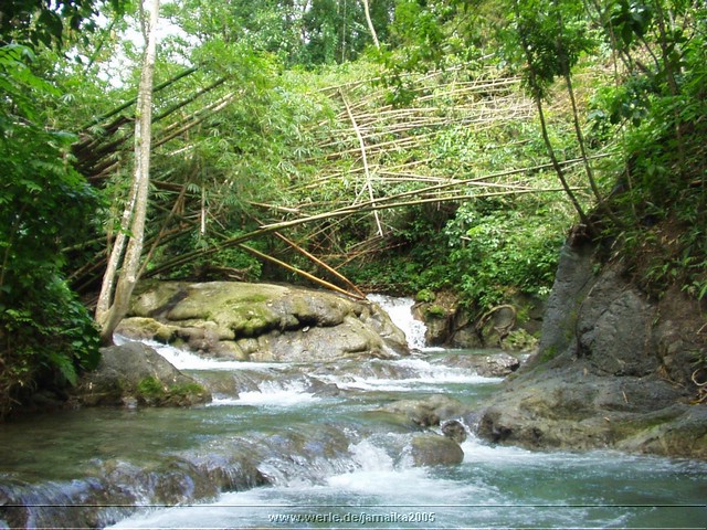 jamaika2005i19nr051.jpg