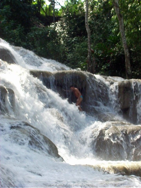 jamaika2005i30nr114.jpg