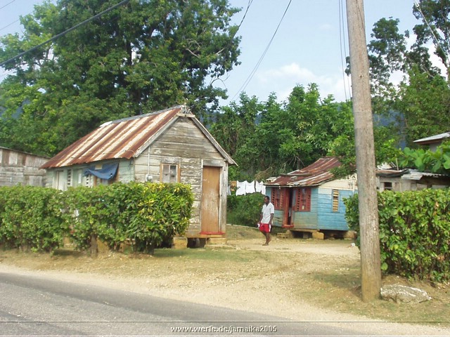 jamaika2005i41nr236.jpg