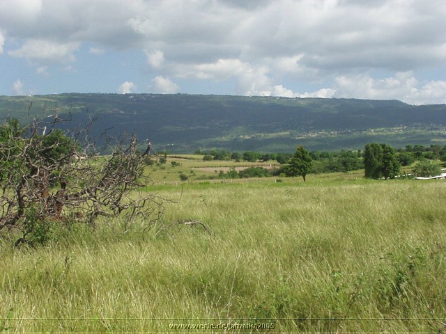 jamaika2005i46nr176.jpg