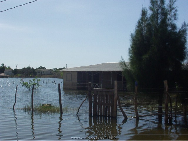 jamaika2005i48nr180.jpg