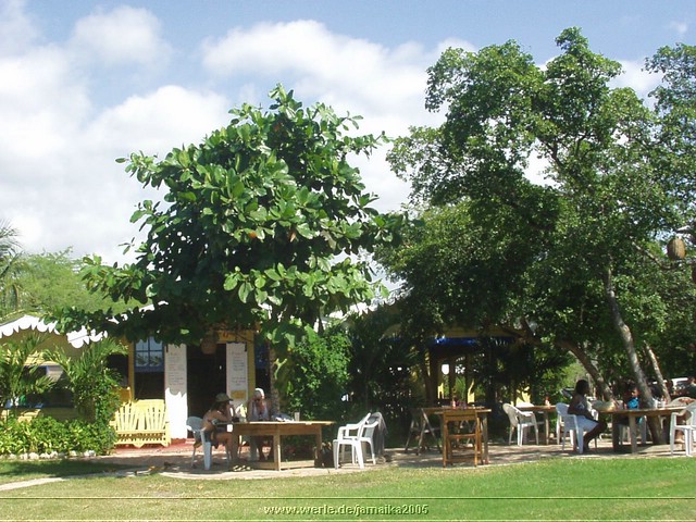 jamaika2005i49nr183.jpg