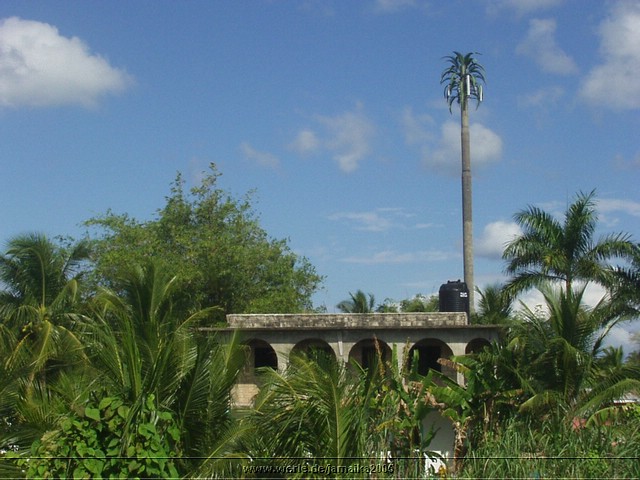 jamaika2005i66nr247.jpg