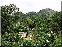 jamaika2005i15nr042.jpg